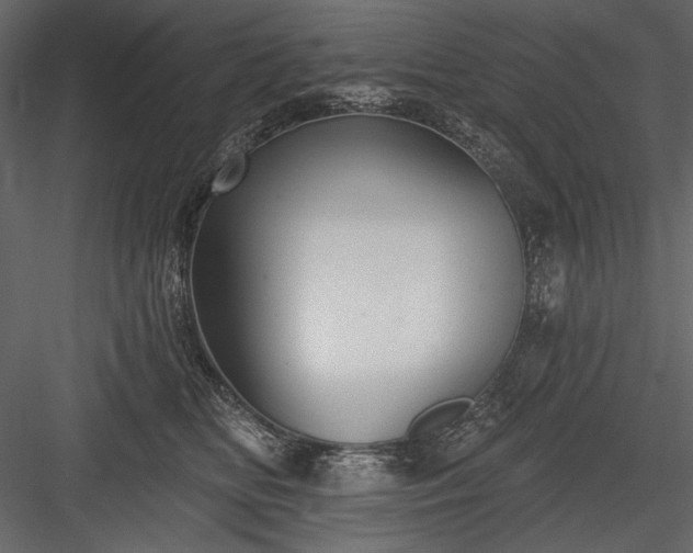 X0000084020518200702232235