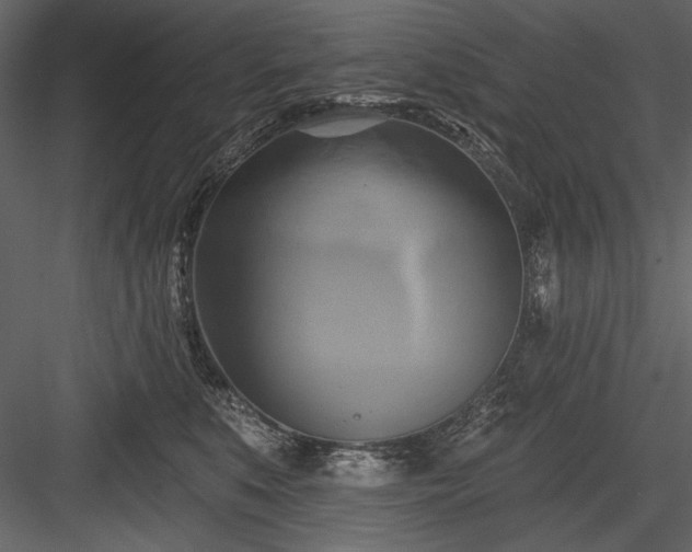 X0000084020519200702232235