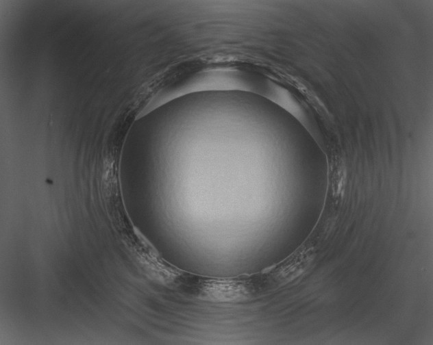 X0000084020521200702232235