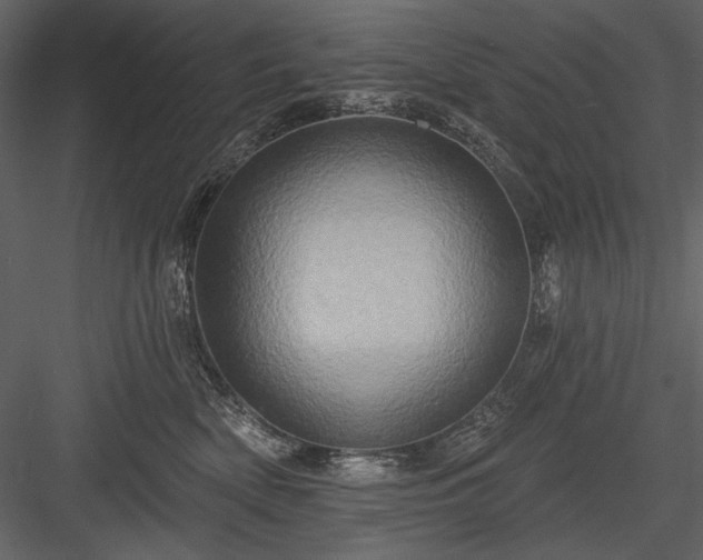 X0000084020522200702232235