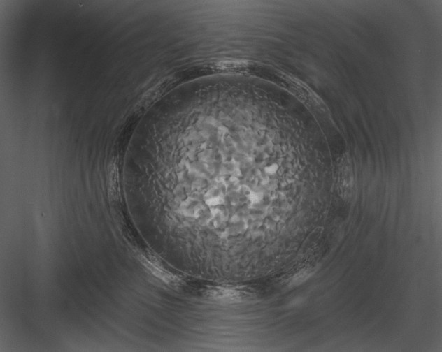 X0000084020523200702232235