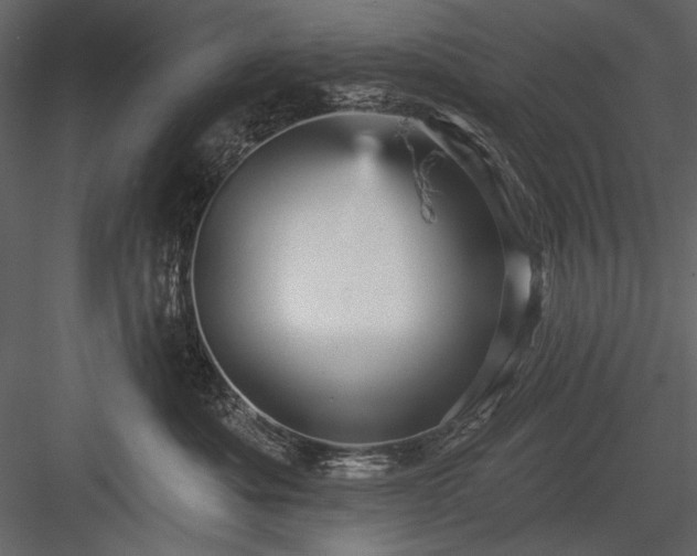 X0000084020525200702232235