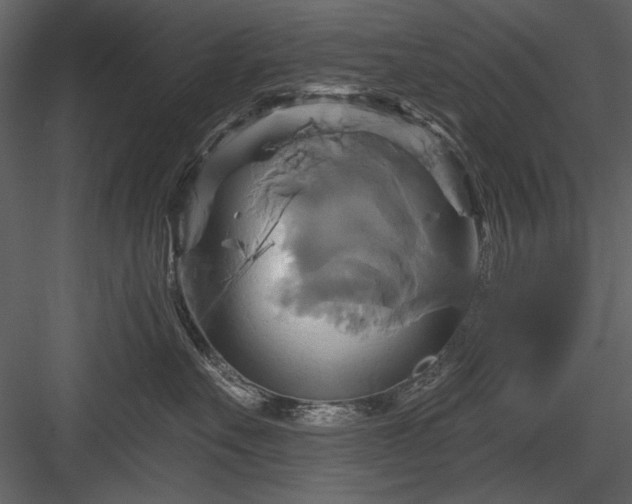 X0000084020527200702232235