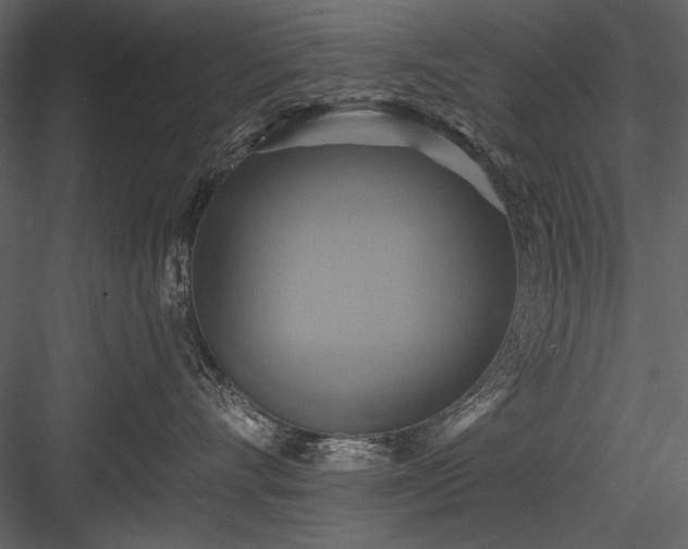 X0000084020528200702232235