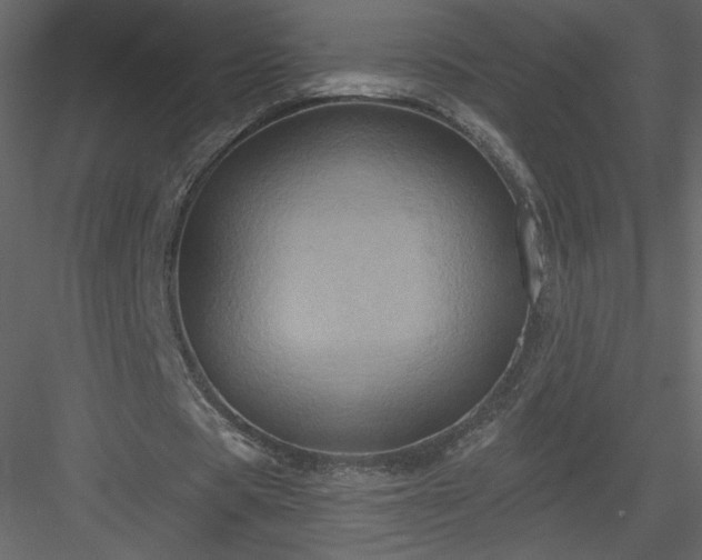 X0000084020529200702232234