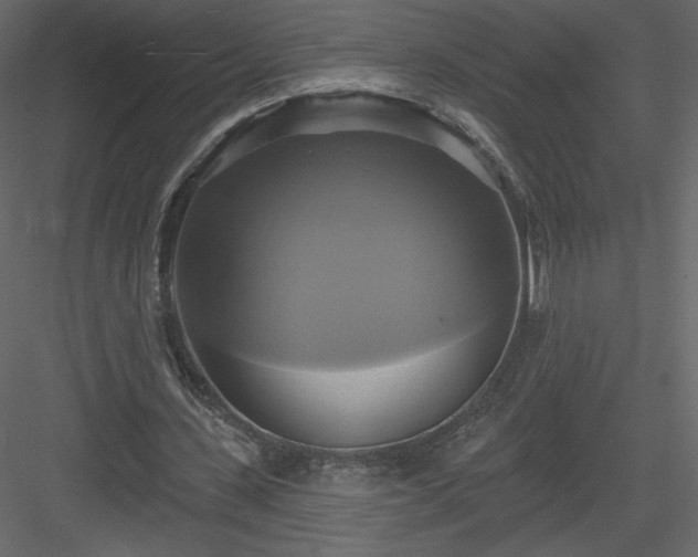 X0000084020531200702232234