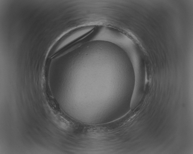 X0000084020532200702232234