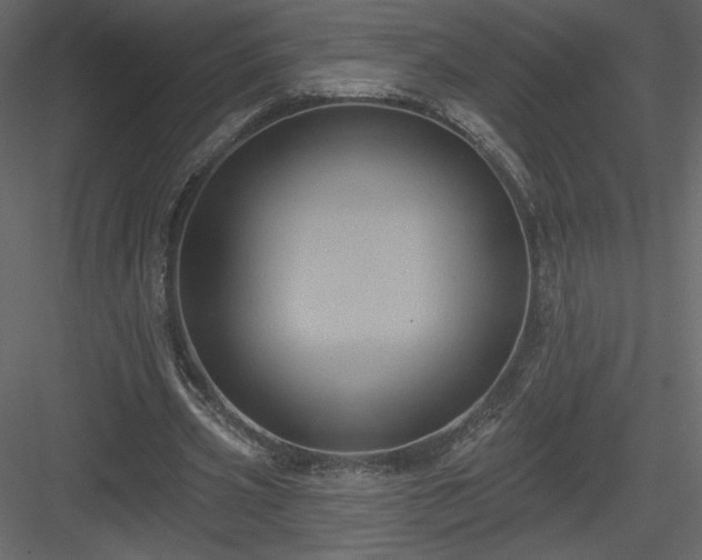 X0000084020533200702232234