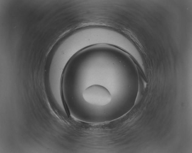 X0000084020534200702232234