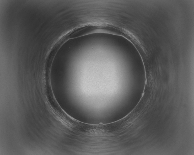 X0000084020535200702232234