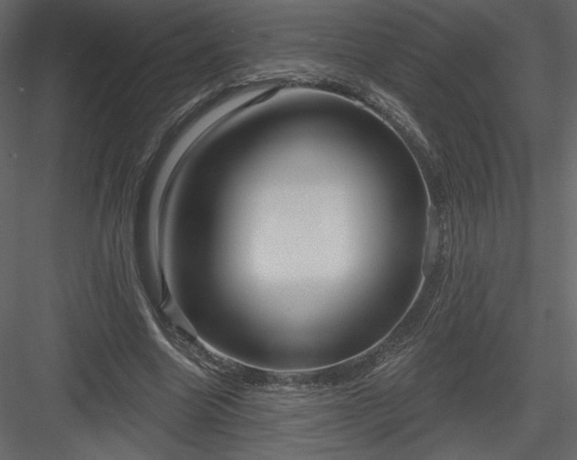 X0000084020538200702232234