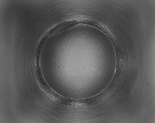 X0000084020539200702232234