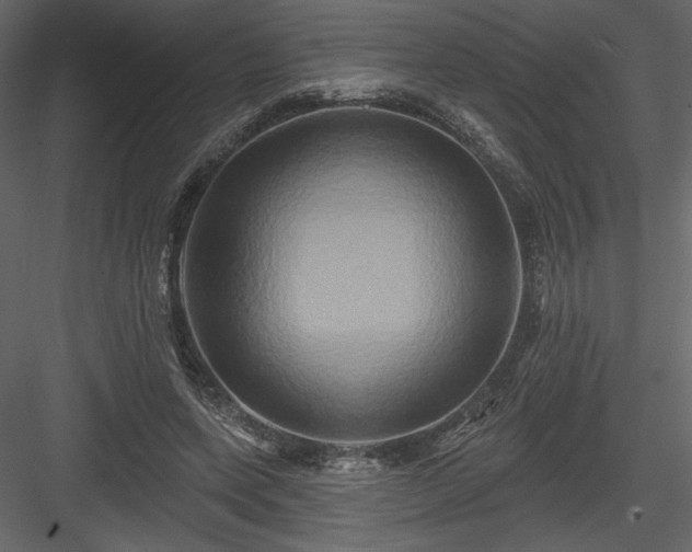 X0000084020543200702232234