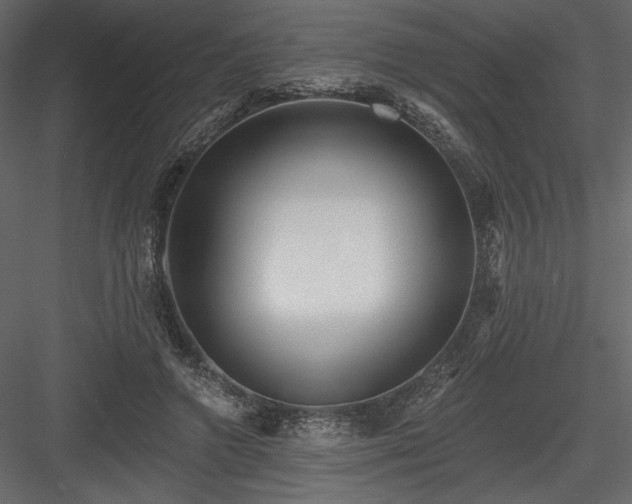 X0000084020546200702232234