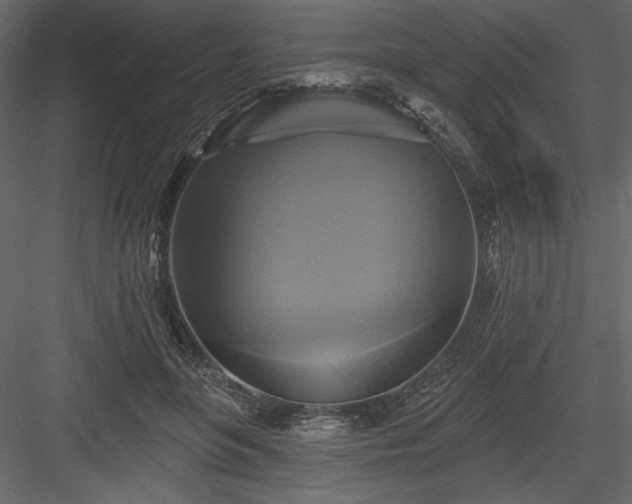 X0000084020551200702232234