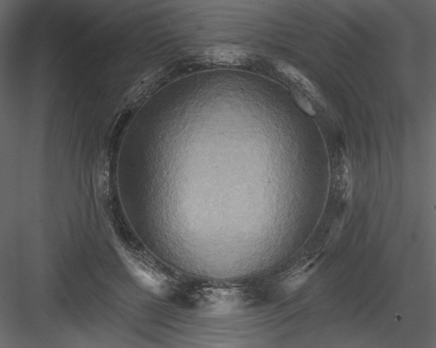 X0000084020552200702232234