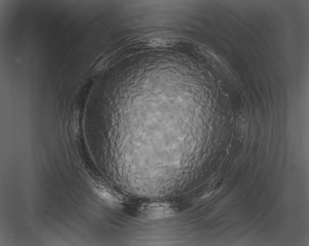 X0000084020554200702232234