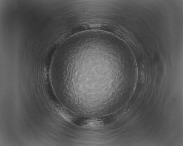 X0000084020555200702232234