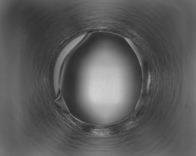 X0000084020556200702232235