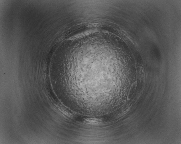 X0000084020557200702232235