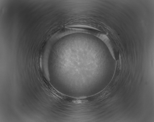 X0000084020558200702232235