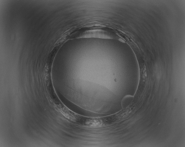 X0000084020559200702232235