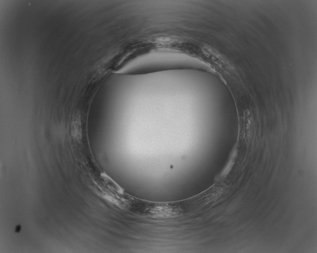 X0000084020562200702232235