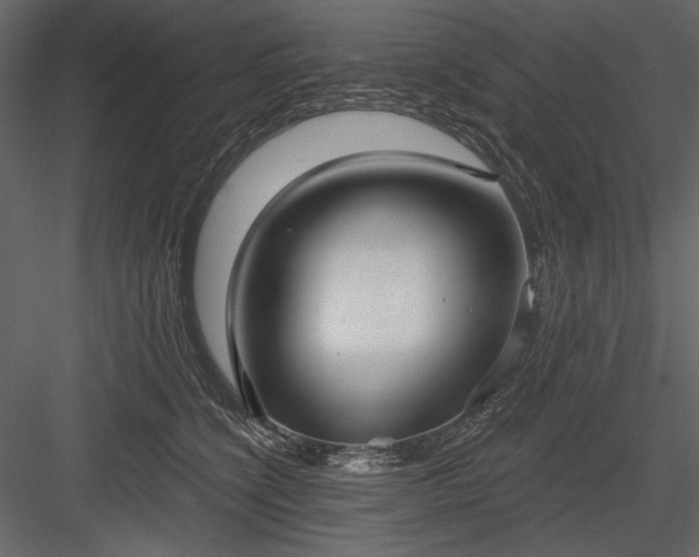 X0000084020564200702232235