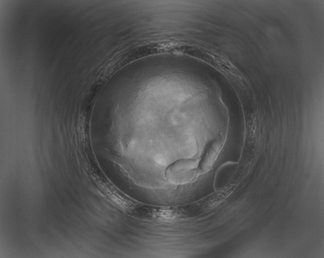 X0000084020565200702232235