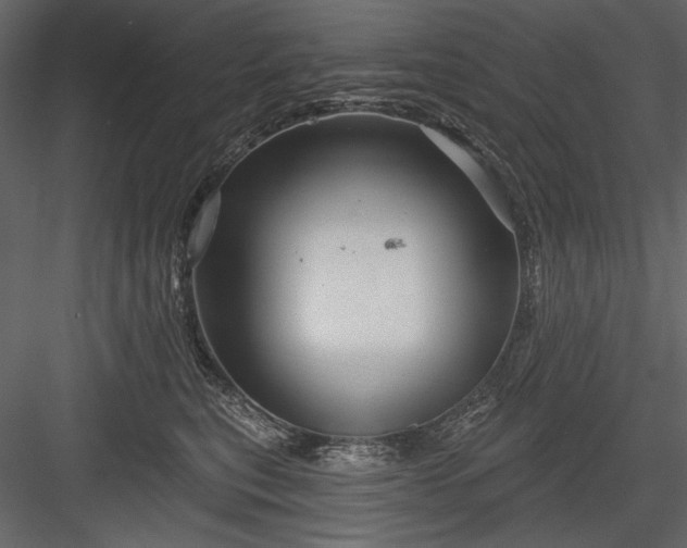 X0000084020567200702232235