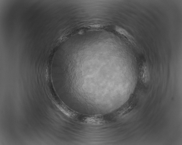 X0000084020568200702232235