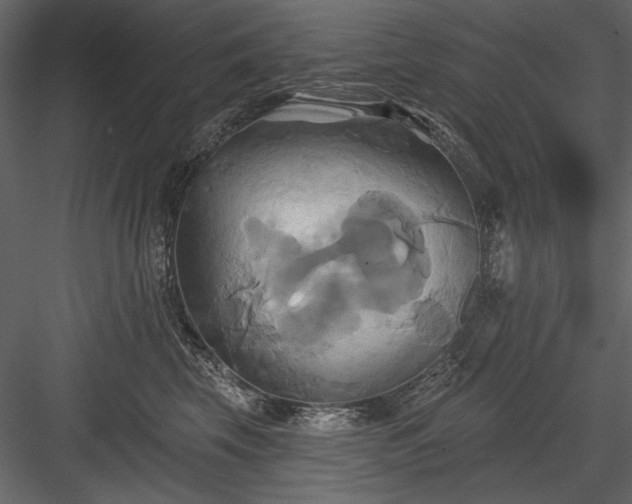 X0000084020569200702232235