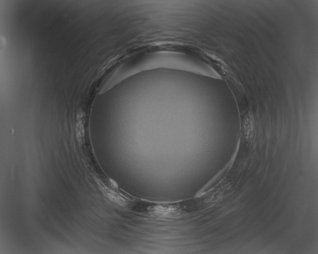 X0000084020570200702232235