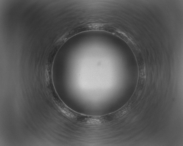 X0000084020572200702232235