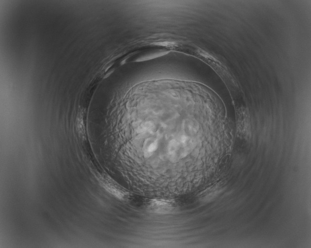 X0000084020573200702232235