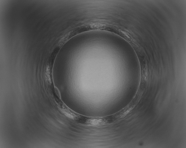 X0000084020575200702232235