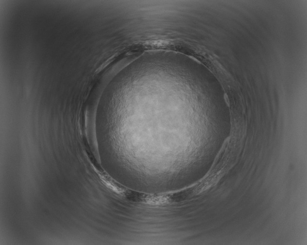 X0000084020576200702232235