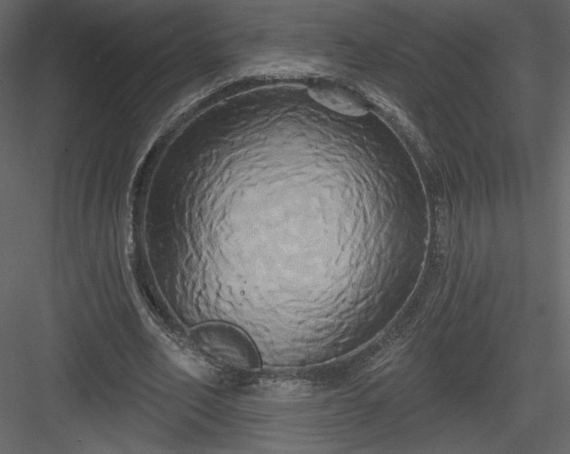 X0000084020582200702232234