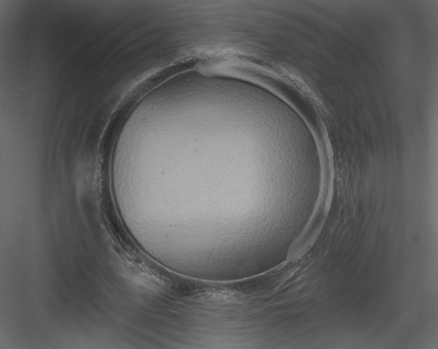 X0000084020583200702232234