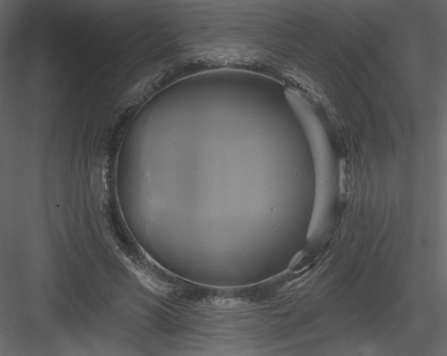 X0000084020590200702232234