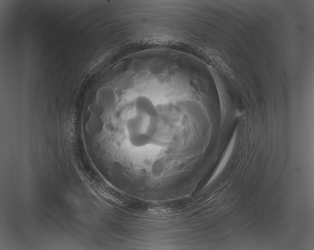 X0000084020591200702232234