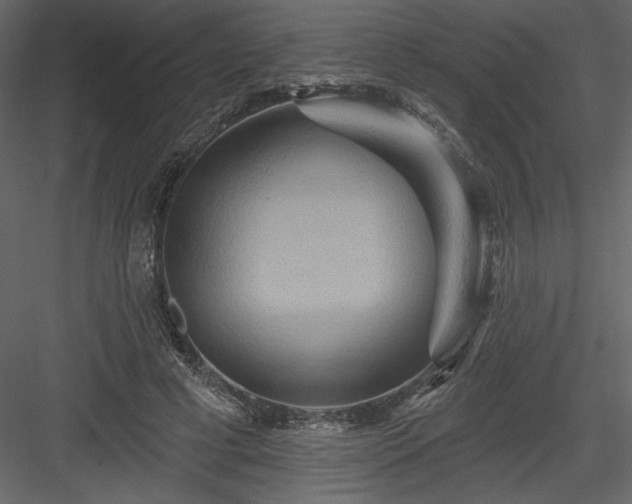 X0000084020593200702232234