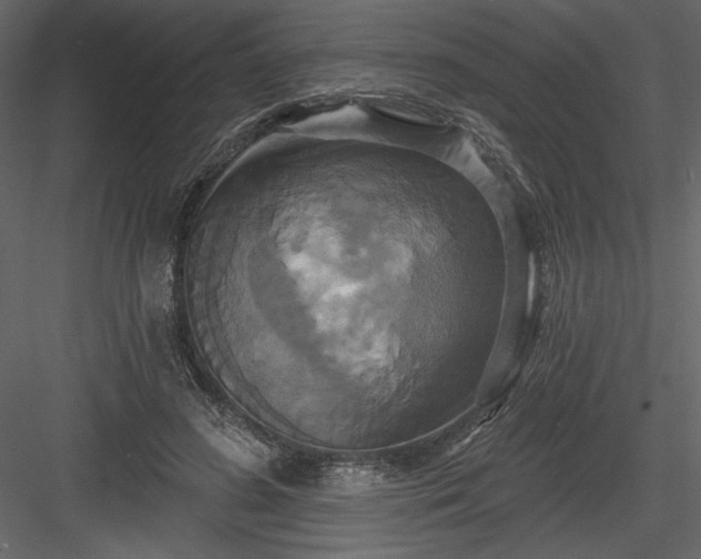 X0000084020596200702232234