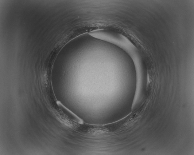 X0000084020597200702232234