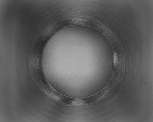 X0000084020603200702232234