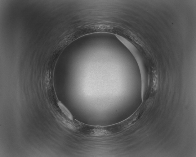 X0000084020605200702232234