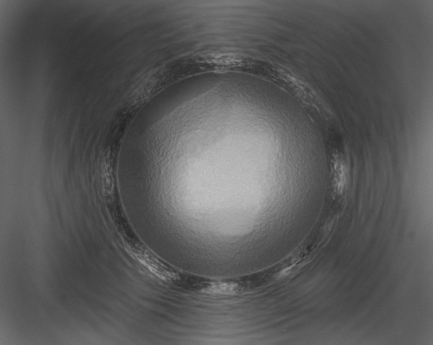 X0000084020609200702232233