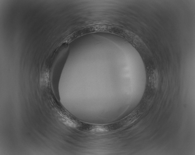 X0000084020610200702232233