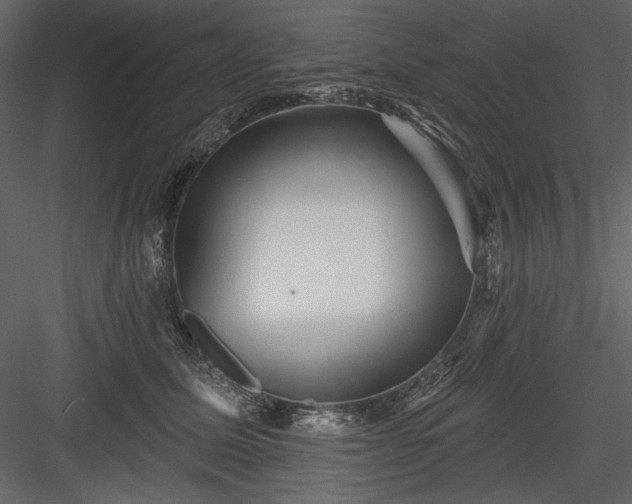 X0000084020611200702232233