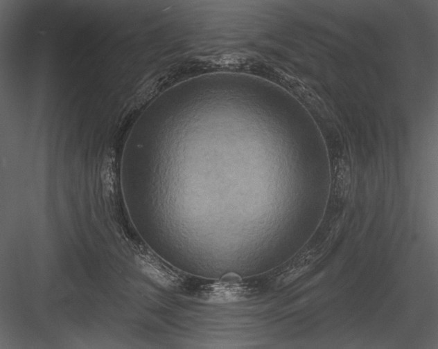 X0000084020612200702232233